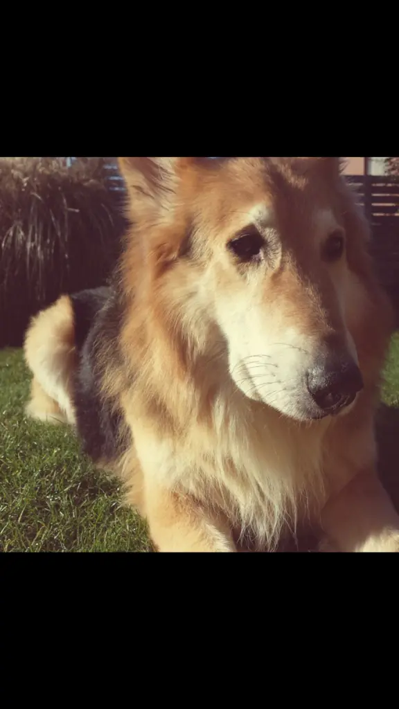 Condolence image of Miriam