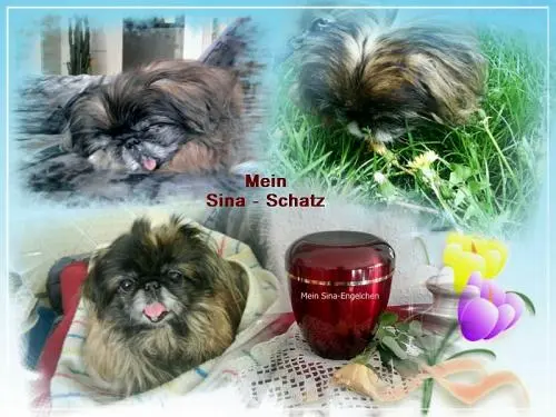 Image from meine allerliebste Sina