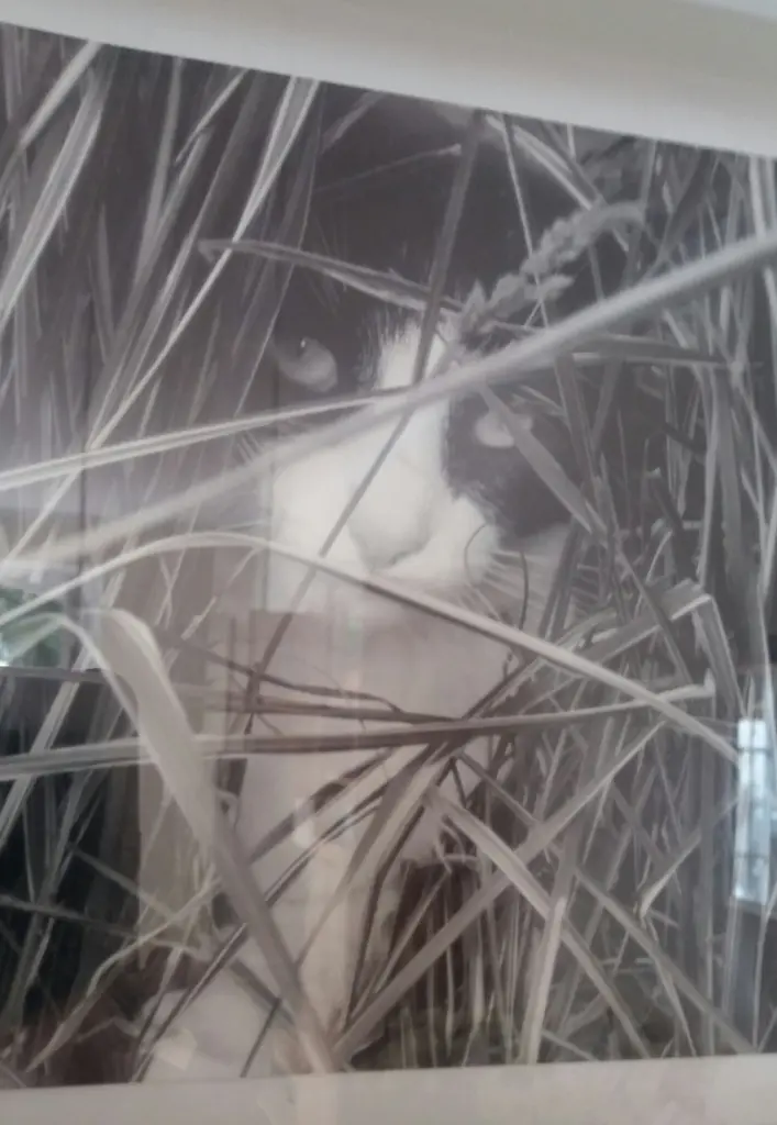 Andachtsbild von Monika mit Carlo im Herzen