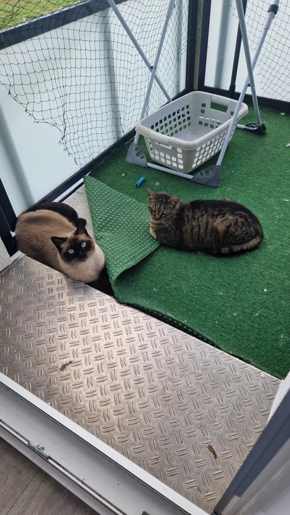 Andachtsbild von Yvonne