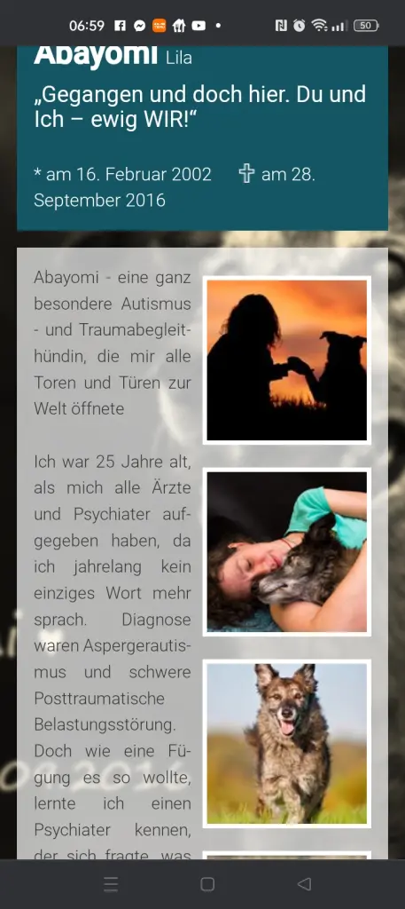 Andachtsbild von Ina