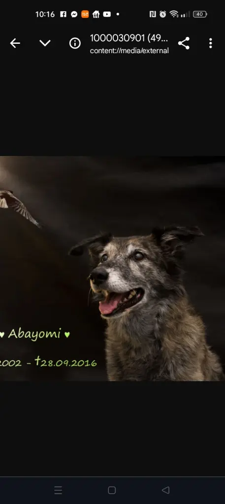 Andachtsbild von Ina