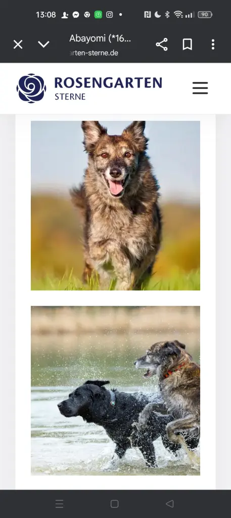 Andachtsbild von Ina Wilhelm