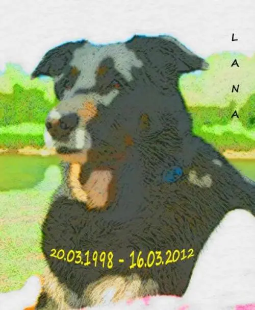 Image from Lana