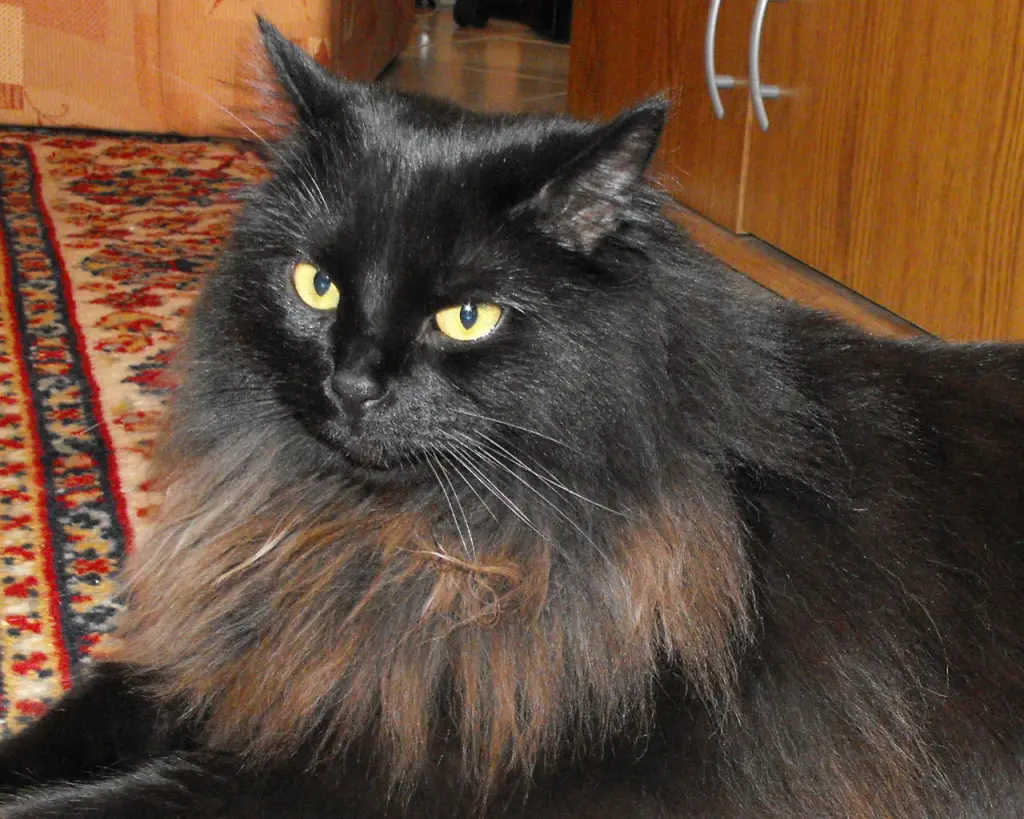 Condolence image of Jörg & Veronika