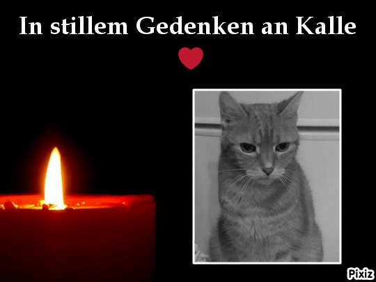 Andachtsbild von Tanja mit Timmy im Herzen