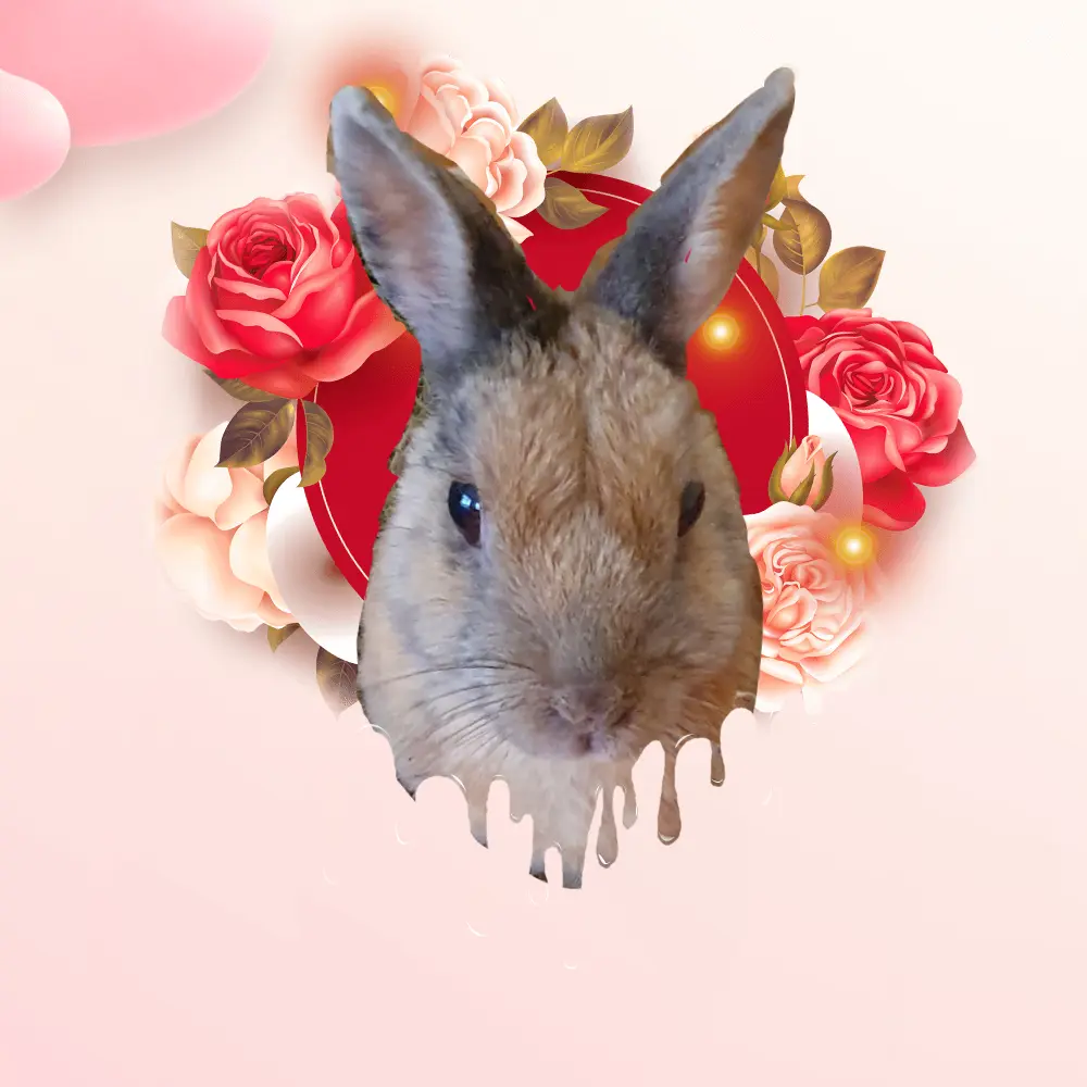 Andachtsbild von Patricia mit Bunny im ❤ gest. 24.11.2020