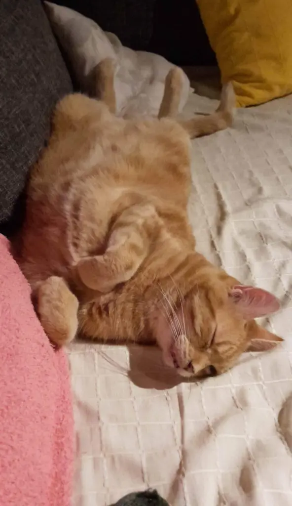 Andachtsbild von ❤️1 Wo❤️Deine Mutti und deine Oma ❤️