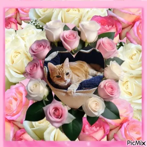 Andachtsbild von ❤️❤️❤️❤️❤️❤️❤️❤️❤️❤️