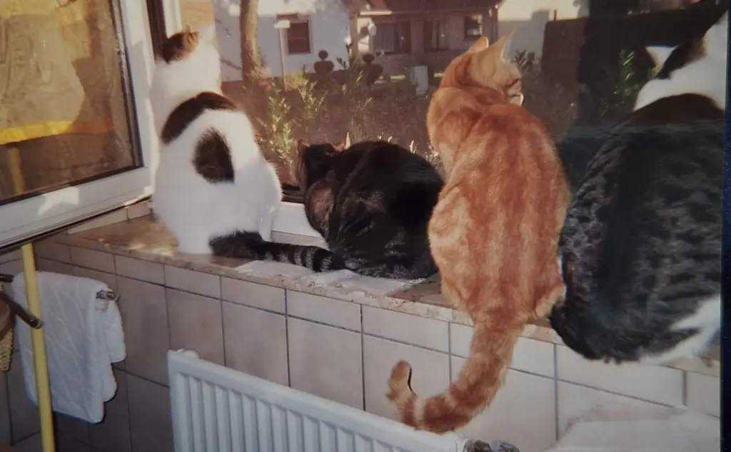 Andachtsbild von ❤️2 Wo ❤️Deine Mutti und deine Oma ❤️