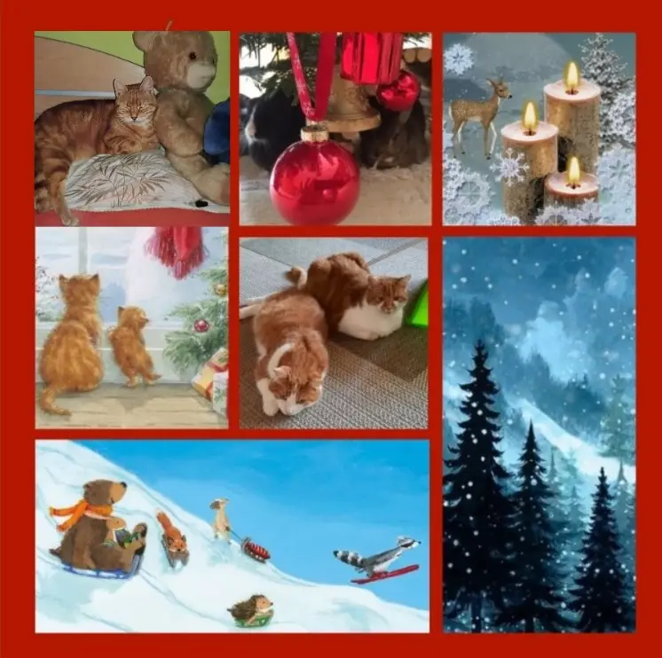 Andachtsbild von Rosen zum 3. Advent 