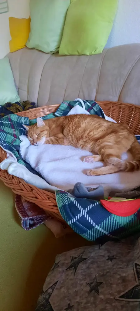 Andachtsbild von ❤️3 Wo ❤️Deine Mutti und deine Oma ❤️ 