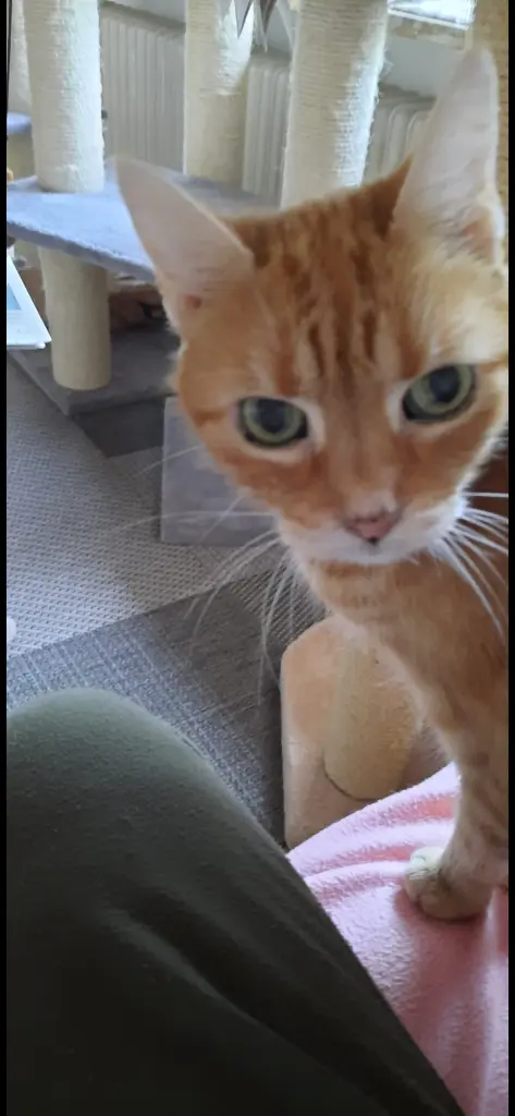 Andachtsbild von ❤️Deine Mutti und deine Oma ❤️ 