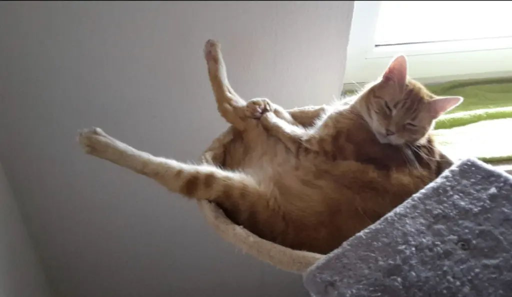 Andachtsbild von ❤️4Wo❤️Deine Mutti und deine Oma ❤️ 