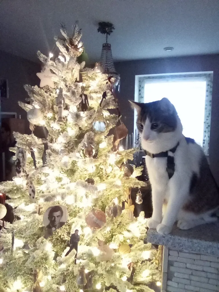 Andachtsbild von Beate mit Elvis im Herzen ❤