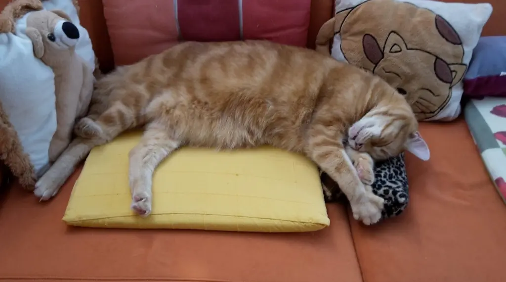 Andachtsbild von ❤️1 Mo❤️Deine Mutti und deine Oma ❤️ 