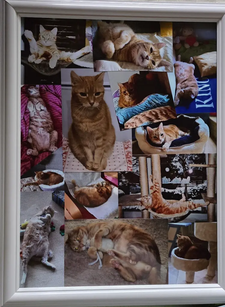 Andachtsbild von ❤️5 Wo❤️Deine Mutti und deine Oma ❤️ 