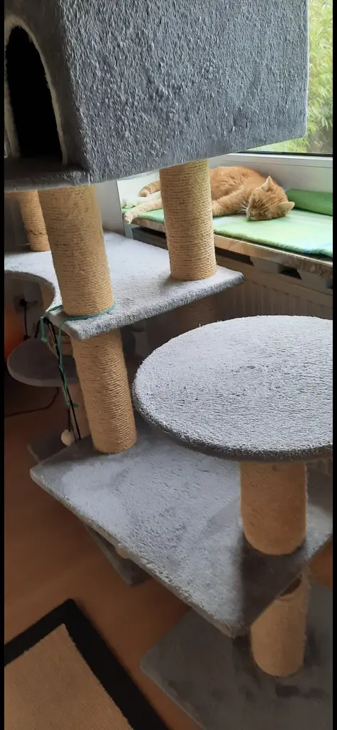 Andachtsbild von ❤️7 Wo❤️Deine Mutti und deine Oma ❤️ 