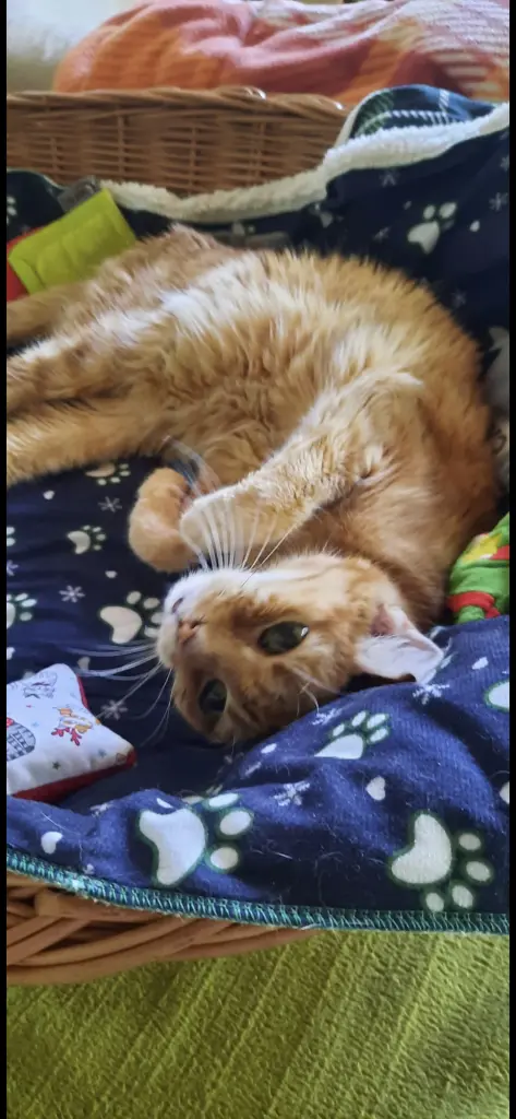 Andachtsbild von ❤️8 Wo ❤️Deine Mutti und deine Oma ❤️ 