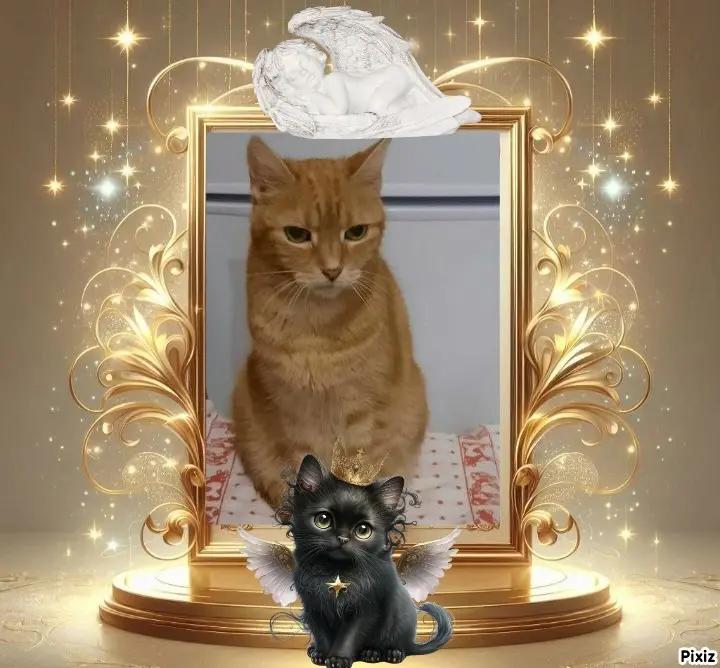 Andachtsbild von Tanja mit Timmy im Herzen 