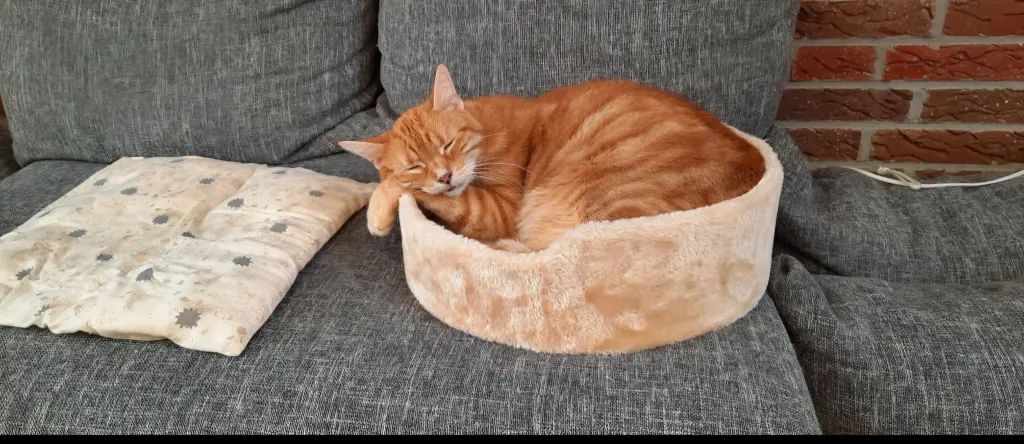 Andachtsbild von ❤️2 Mo❤️Deine Mutti und deine Oma ❤️ 