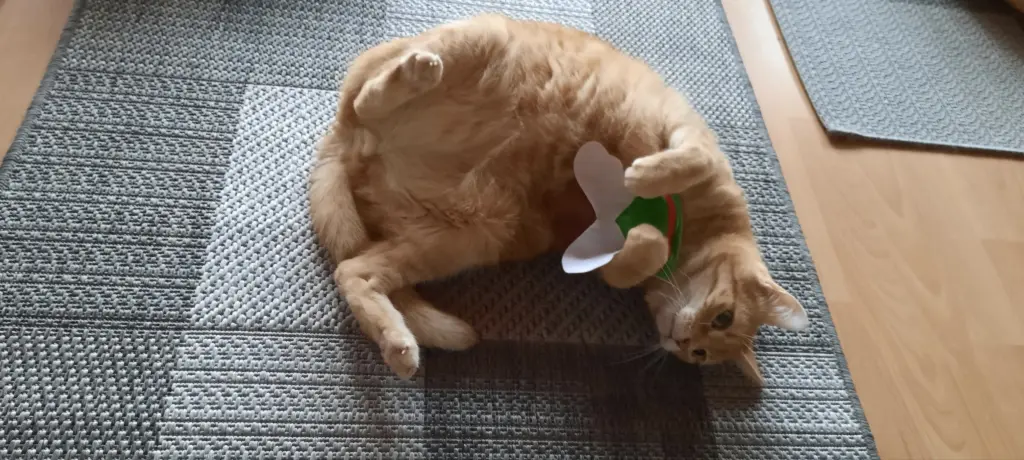 Andachtsbild von ❤️9 Wo❤️Deine Mutti und deine Oma ❤️ 