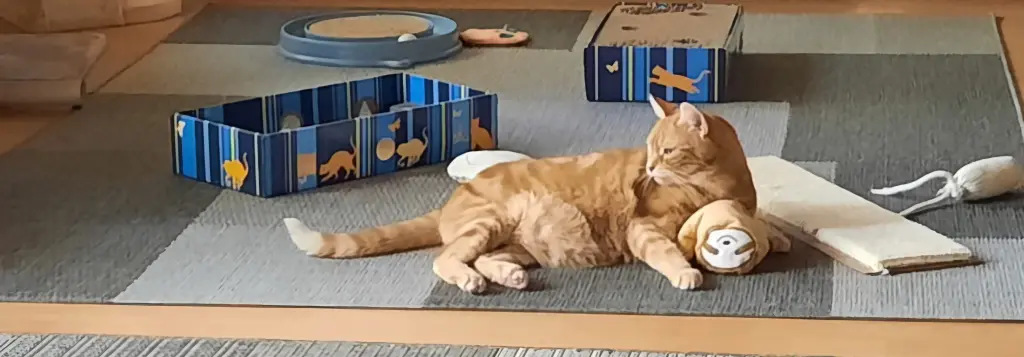 Andachtsbild von ❤️10 Wo❤️Deine Mutti und deine Oma ❤️ 