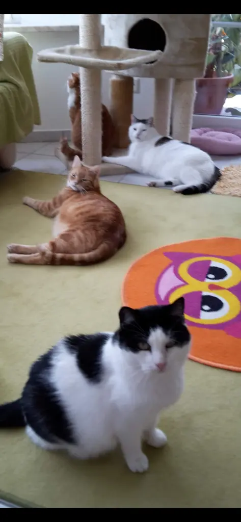 Andachtsbild von ❤️11 Wo❤️Deine Mutti und deine Oma ❤️ 