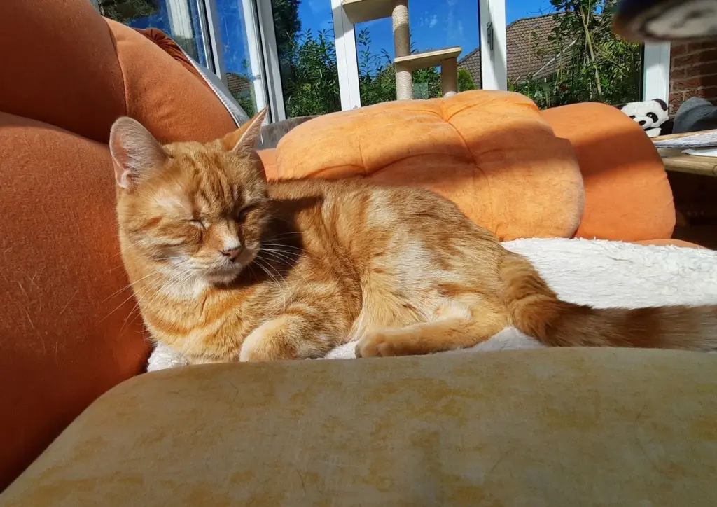 Andachtsbild von ❤️12 Wo❤️Deine Mutti und deine Oma ❤️