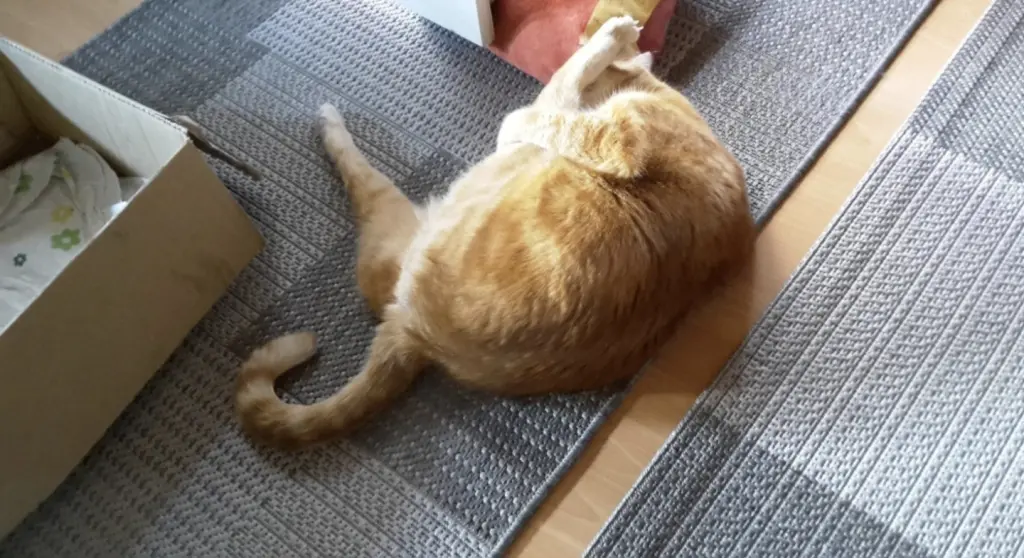 Andachtsbild von ❤️13 Wo❤️Deine Mutti und deine Oma ❤️