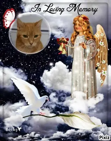 Andachtsbild von Tanja mit Timmy im Herzen