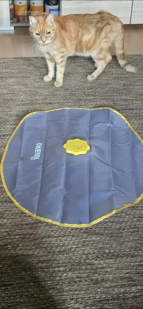 Andachtsbild von ❤️3Mo❤️Deine Mutti und deine Oma ❤️