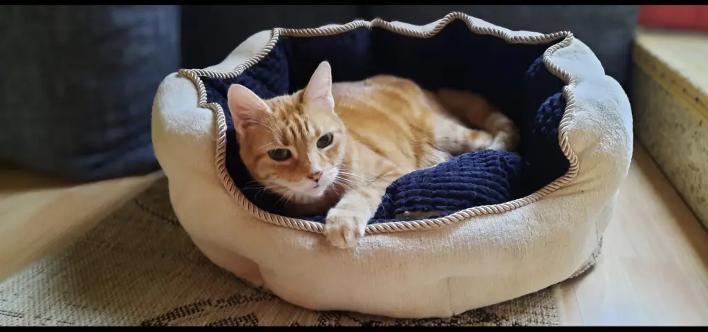 Andachtsbild von ❤️17 Wo❤️Deine Mutti und deine Oma ❤️