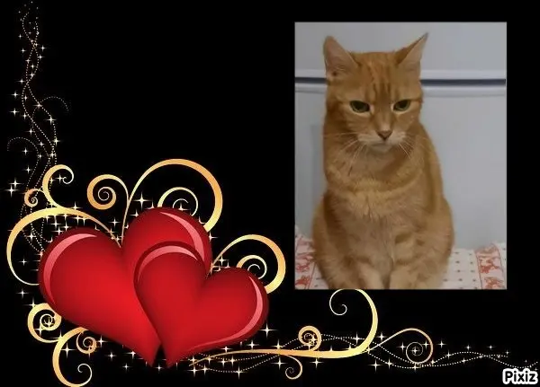 Andachtsbild von Tanja mit Timmy im Herzen