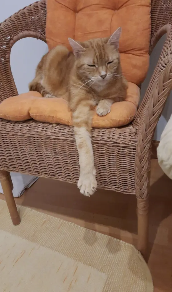 Andachtsbild von ❤️18 Wo ❤️Deine Mutti und deine Oma ❤️