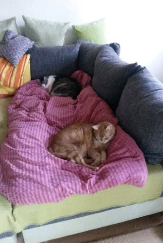 Andachtsbild von ❤️19 Wo❤️Deine Mutti und deine Oma ❤️ 