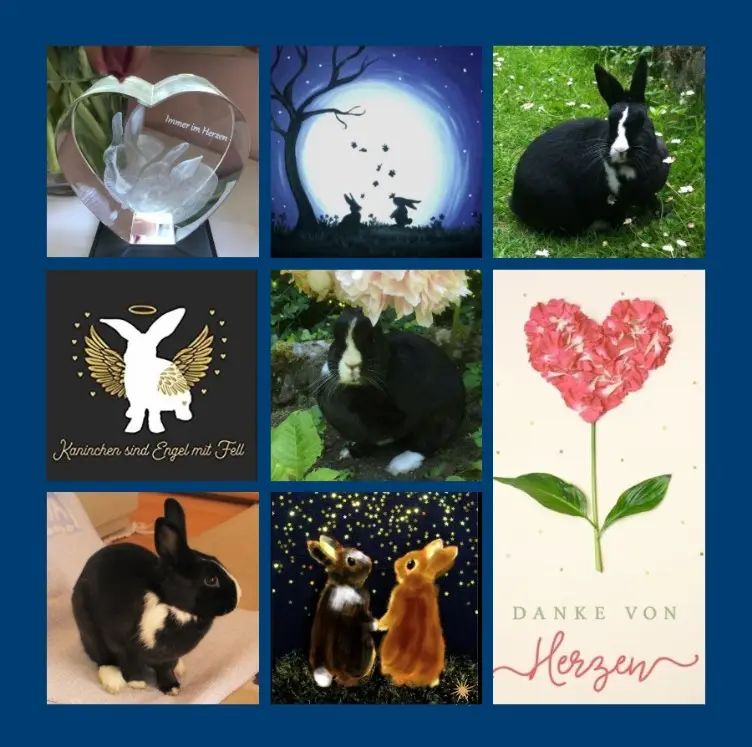 Andachtsbild von Danke von Jasper und Drina