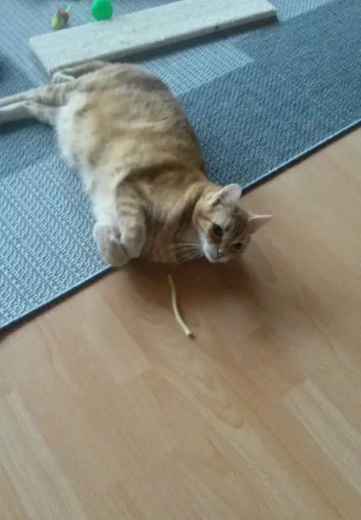 Andachtsbild von ❤️20 Wo ❤️Deine Mutti und deine Oma ❤️ 