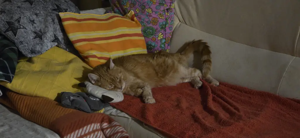 Andachtsbild von ❤️5Mo❤️Deine Mutti und deine Oma ❤️ 