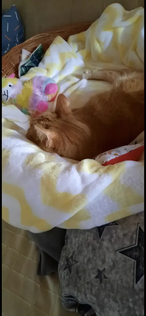 Andachtsbild von ❤️22 Wo❤️Deine Mutti und deine Oma ❤️ 