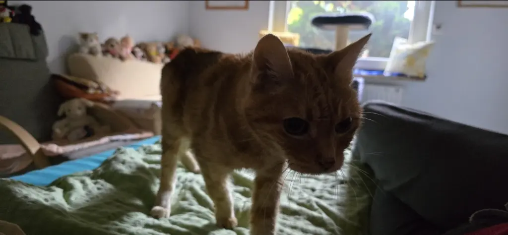 Andachtsbild von ❤️23 Wo ❤️Deine Mutti und deine Oma ❤️ 