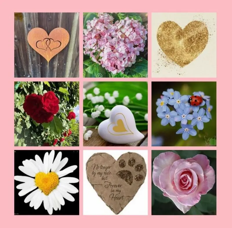 Andachtsbild von Eine Rose für und eine Rose von Kalle 