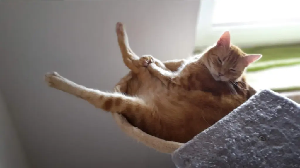 Andachtsbild von ❤️6 Mo ❤️Deine Mutti und deine Oma ❤️ 