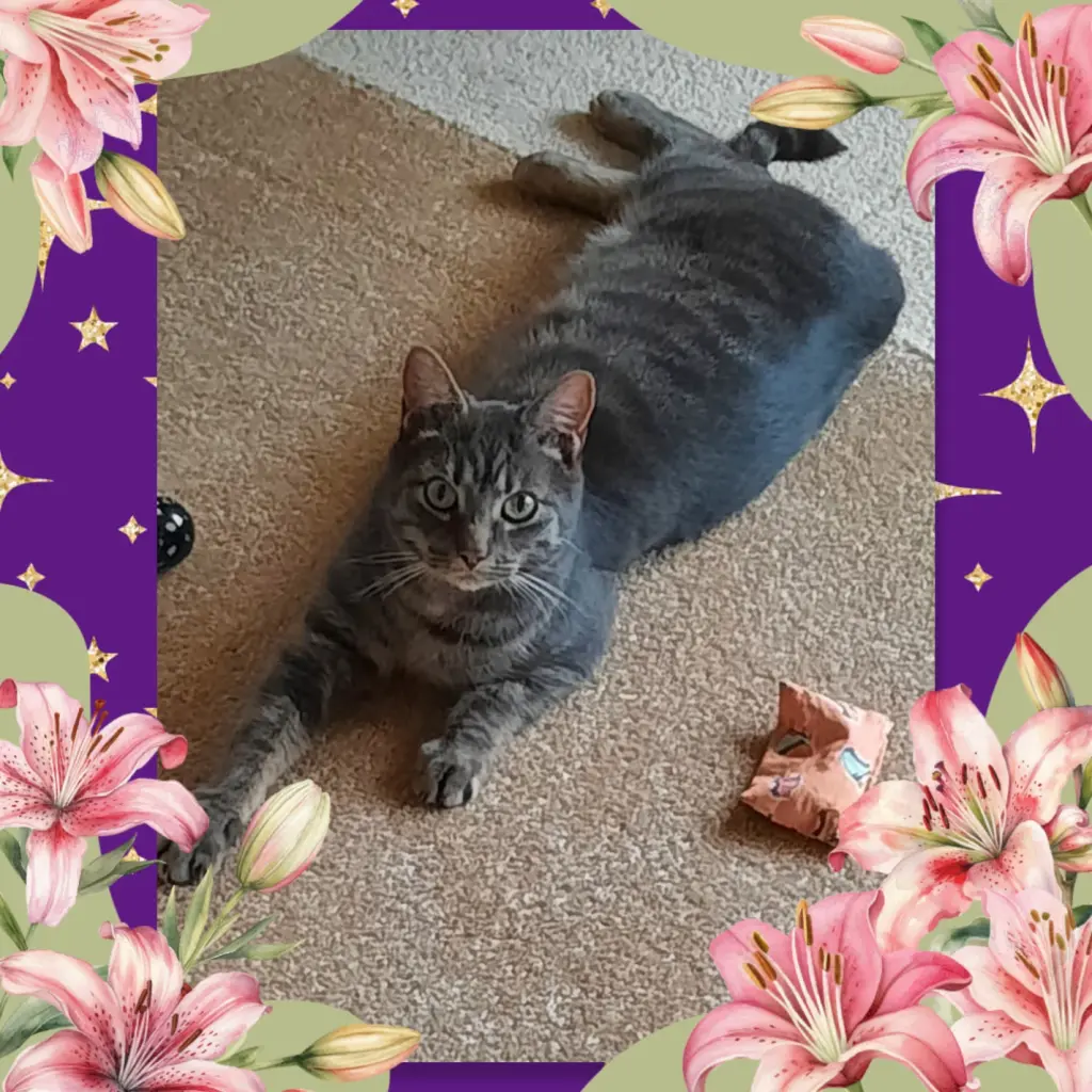 Andachtsbild von ❤️28 Wo❤️Deine Mutti und deine Oma ❤️