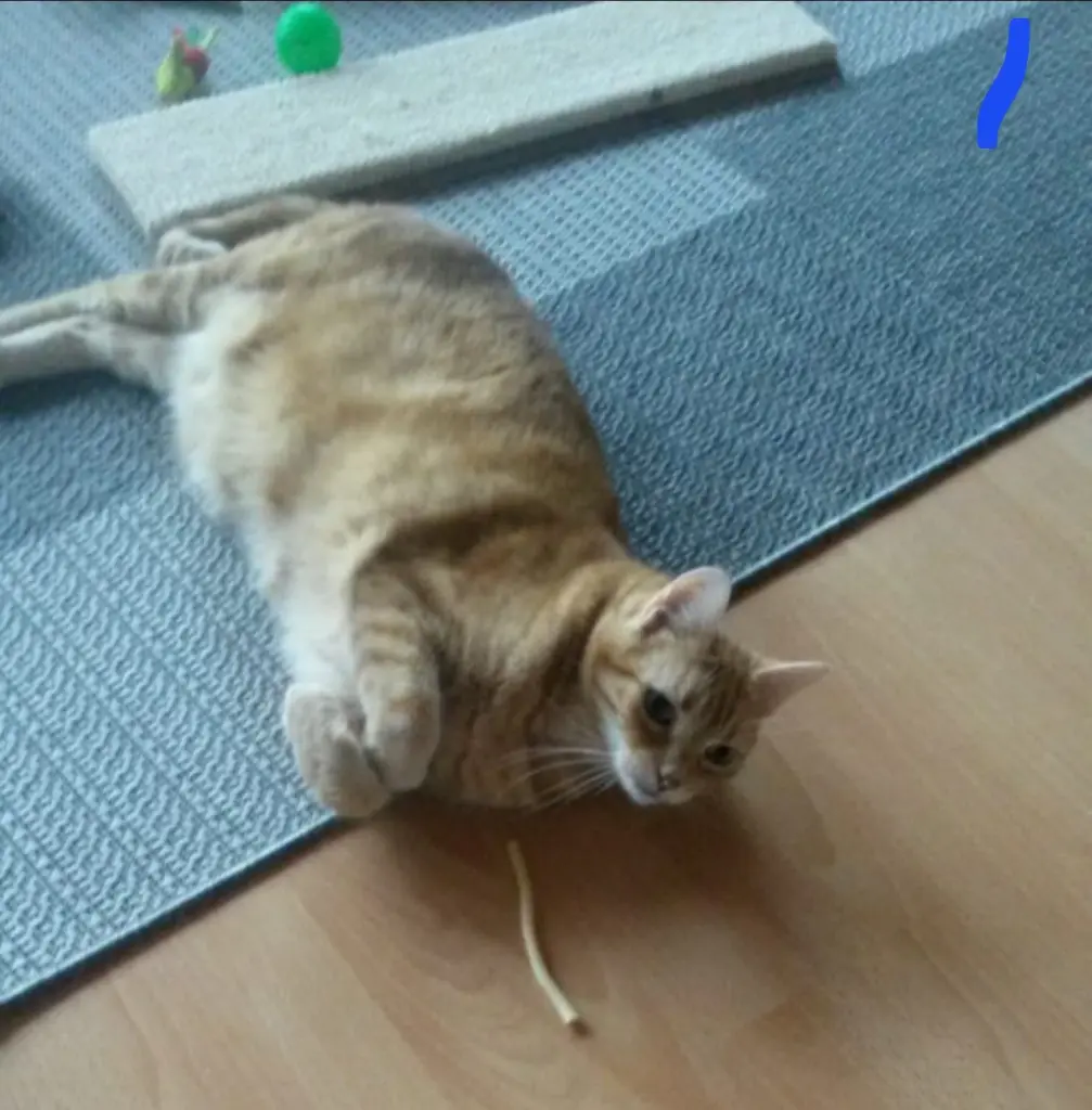 Andachtsbild von ❤️29 Wo❤️Deine Mutti und deine Oma ❤️