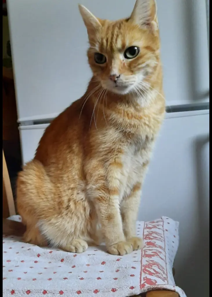 Andachtsbild von ❤️32 Wo❤️Deine Mutti und deine Oma ❤️