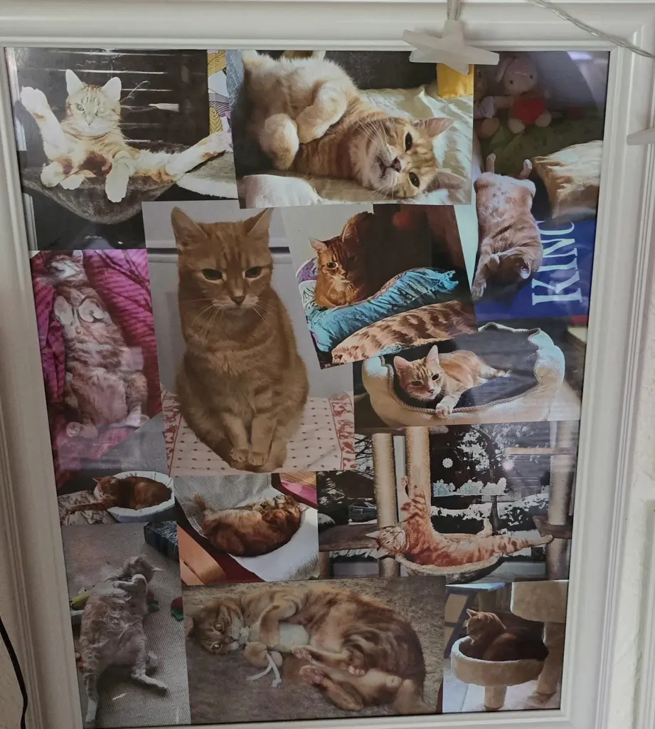 Andachtsbild von ❤️33 Wo❤️Deine Mutti und deine Oma ❤️