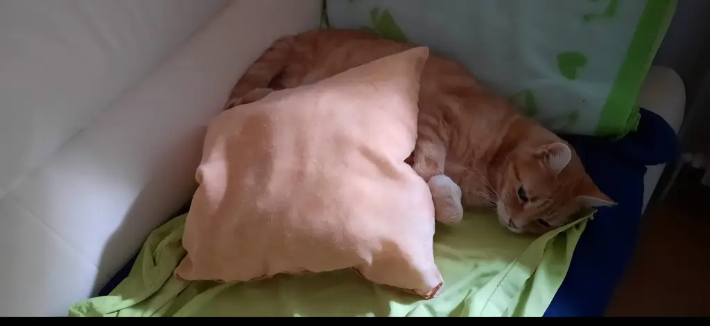 Andachtsbild von ❤️8 Mo❤️Deine Mutti und deine Oma ❤️ 