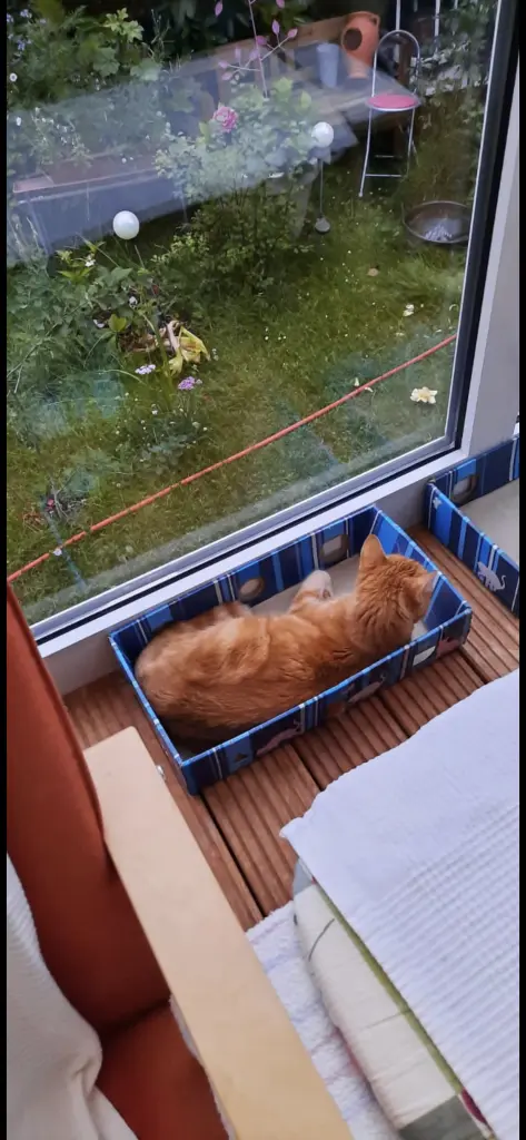 Andachtsbild von ❤️35 Wo❤️Deine Mutti und deine Oma ❤️ 