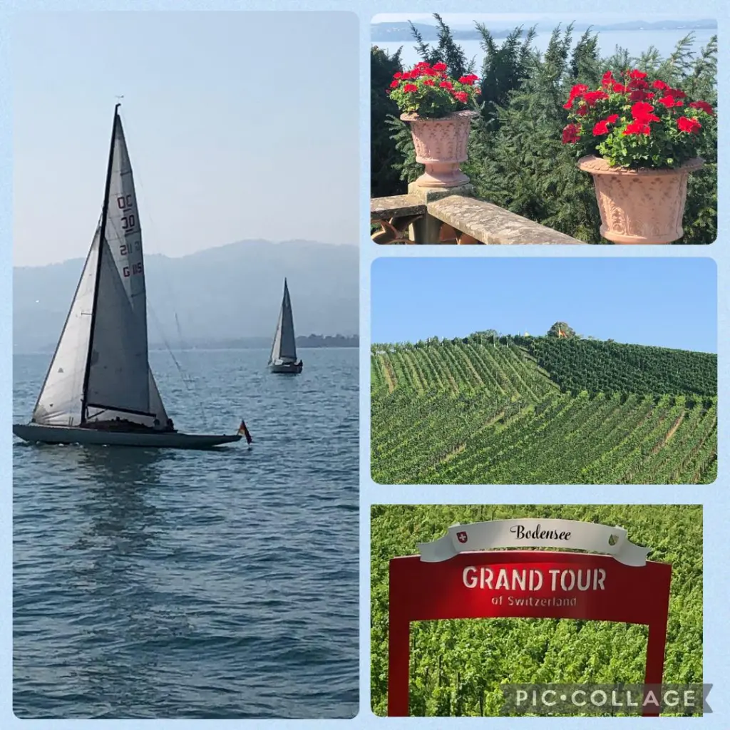 Andachtsbild von Sonntagsröschen für Kalle